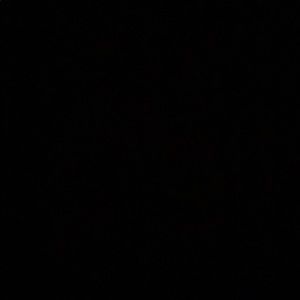 Meet your Posher, Alvin